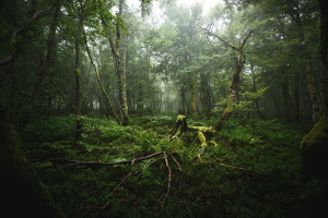 看哭了！赛车模拟选手的励志故事，比电影还精彩！