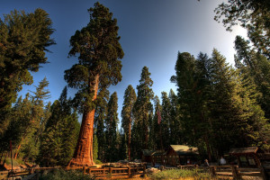 不止于屏幕，电竞线下活动如何凝聚玩家情感