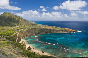 破茧成蝶！从青铜到王者，LOL手游联赛选手成长记！