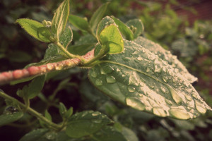战术大师的博弈，英魂之刃总决赛的智商较量！